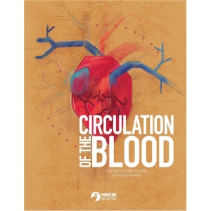 Circulation of the Blood